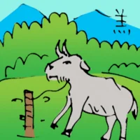 Lamb (6199) illustration