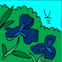 Orchid (6266) illustration