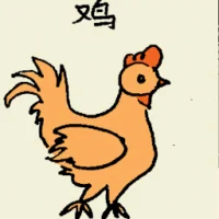 Chicken (6629) illustration