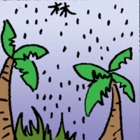 Rain Forest (6717) illustration