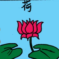Lotus (6754) illustration