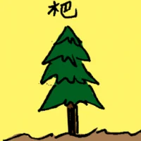 Evergreen Tree (6762) illustration