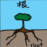 Tree Roots (6770) illustration