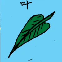 Leaf (6774) illustration