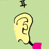 Ear (6798) illustration