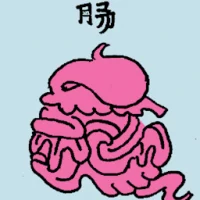 Intestine (6808) illustration