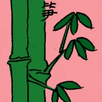 Bamboo Shoot (6846) illustration