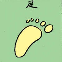 Foot (6860) illustration