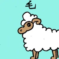 Wool (6937) illustration