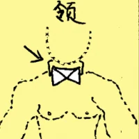 Collar (6972) illustration