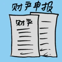 Assets Declaration (7328) illustration
