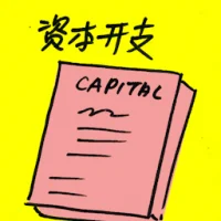 Capital Expenditure (7337) illustration