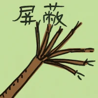 Shielded (7381) illustration