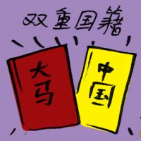 Dual Nationality (7666) illustration