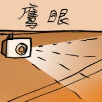 Eagle Eye (7766) illustration