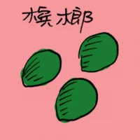 Areca (7878) illustration