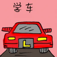 Learn To Drive (7884) illustration