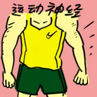 Motor Nerve (8085) illustration