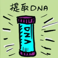 Dna Extraction (8096) illustration