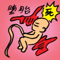 Abort Foetus (8119) illustration