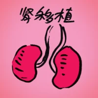 Kidney Transplant (8343) illustration