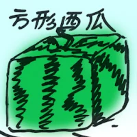 Square Watermelon (8700) illustration