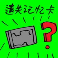 Memory Card Lost (8935) illustration