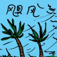 Hurricane (8939) illustration