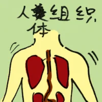 Human Tissue (8989) illustration