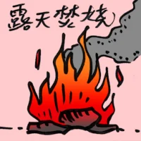 Open Burning (9093) illustration