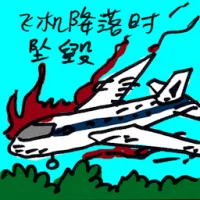 Airplane Landing Crashed (9384) illustration