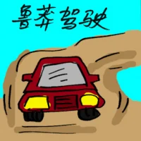 Careless Driving (9417) illustration