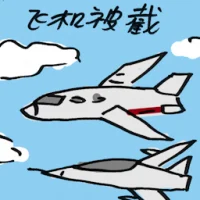 Airplane Intercepted? (9429) illustration