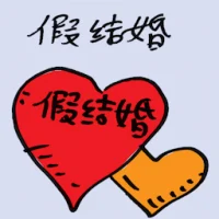 False Marriage (9527) illustration