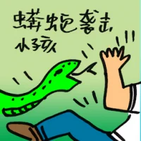 Python Attack Boys (9531) illustration