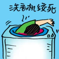Died In Washing Machine (9727) illustration