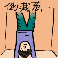 Headlong (9773) illustration