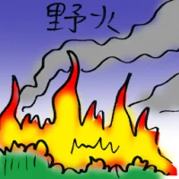 Wildfire (9983) illustration
