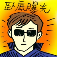Undercover Caught (9992) illustration